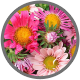 TIMEZ5 Prayer Mat is the perfect gift for mothers day