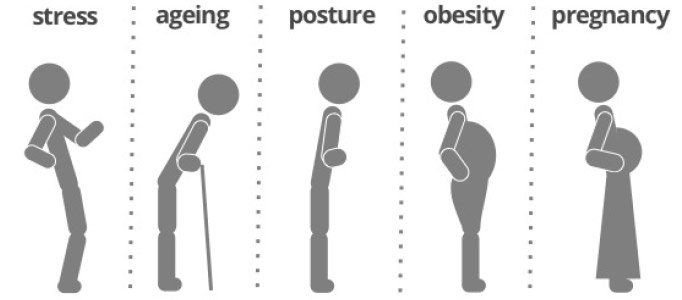 5 Postures